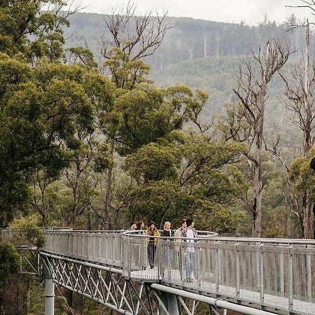 Tahune Airwalk Cabin And Lodge Geeveston Экстерьер фото