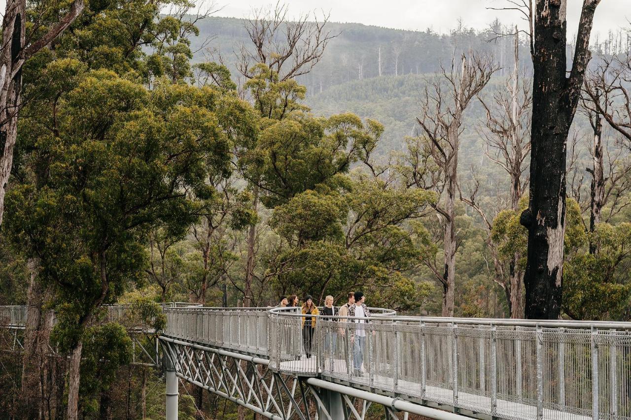 Tahune Airwalk Cabin And Lodge Geeveston Экстерьер фото