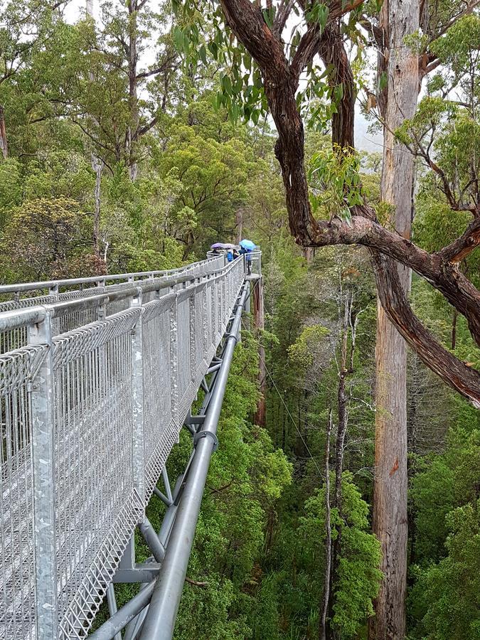 Tahune Airwalk Cabin And Lodge Geeveston Экстерьер фото