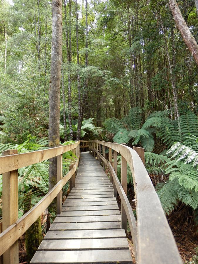 Tahune Airwalk Cabin And Lodge Geeveston Экстерьер фото