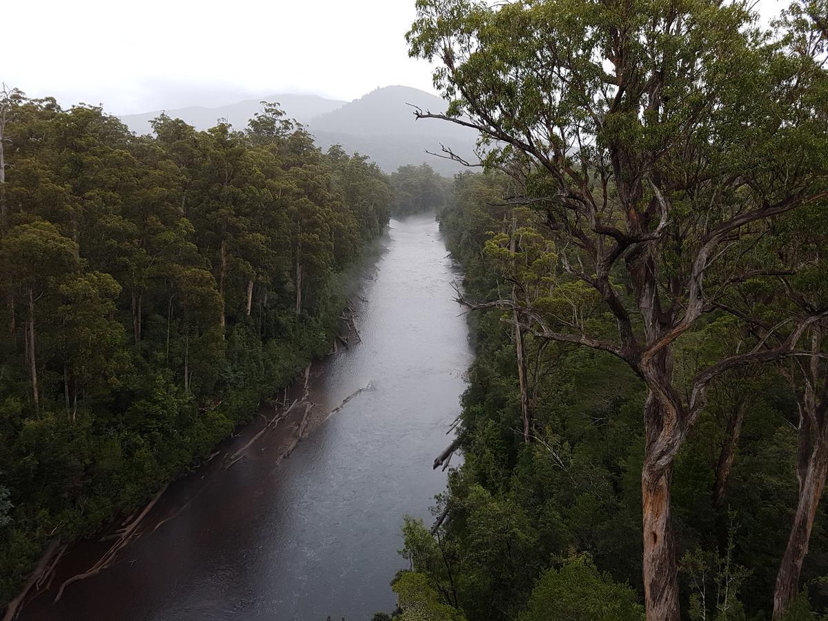 Tahune Airwalk Cabin And Lodge Geeveston Экстерьер фото