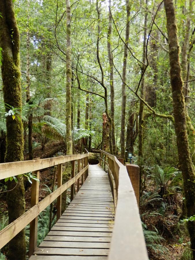 Tahune Airwalk Cabin And Lodge Geeveston Экстерьер фото