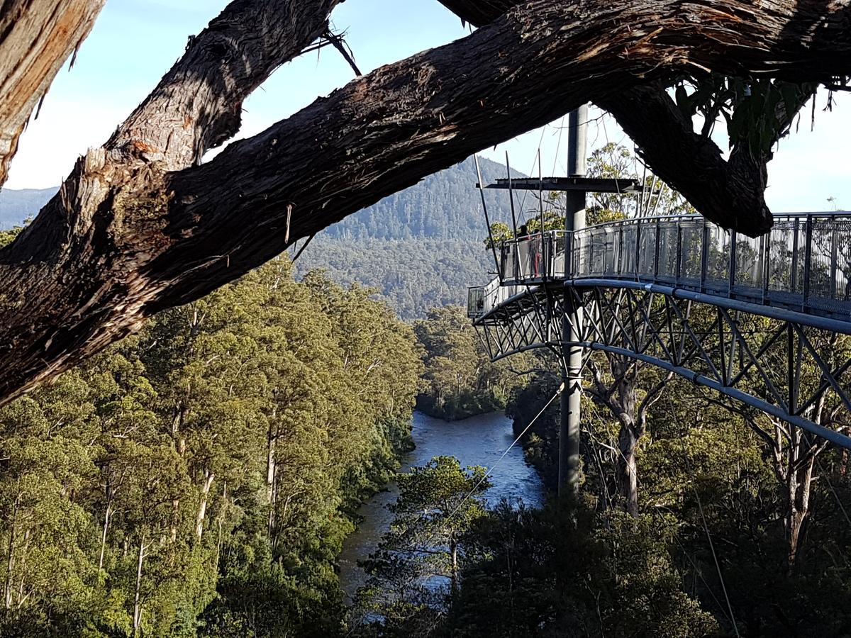 Tahune Airwalk Cabin And Lodge Geeveston Экстерьер фото